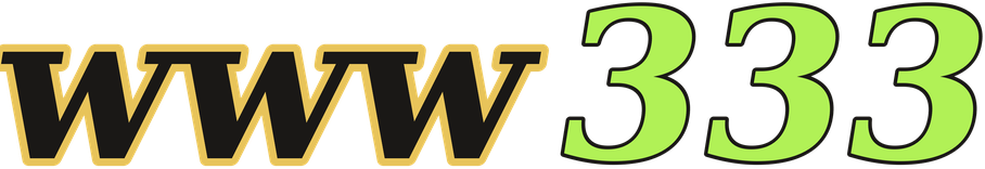 www333 logo
